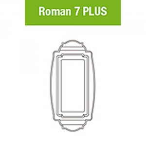 roman-5